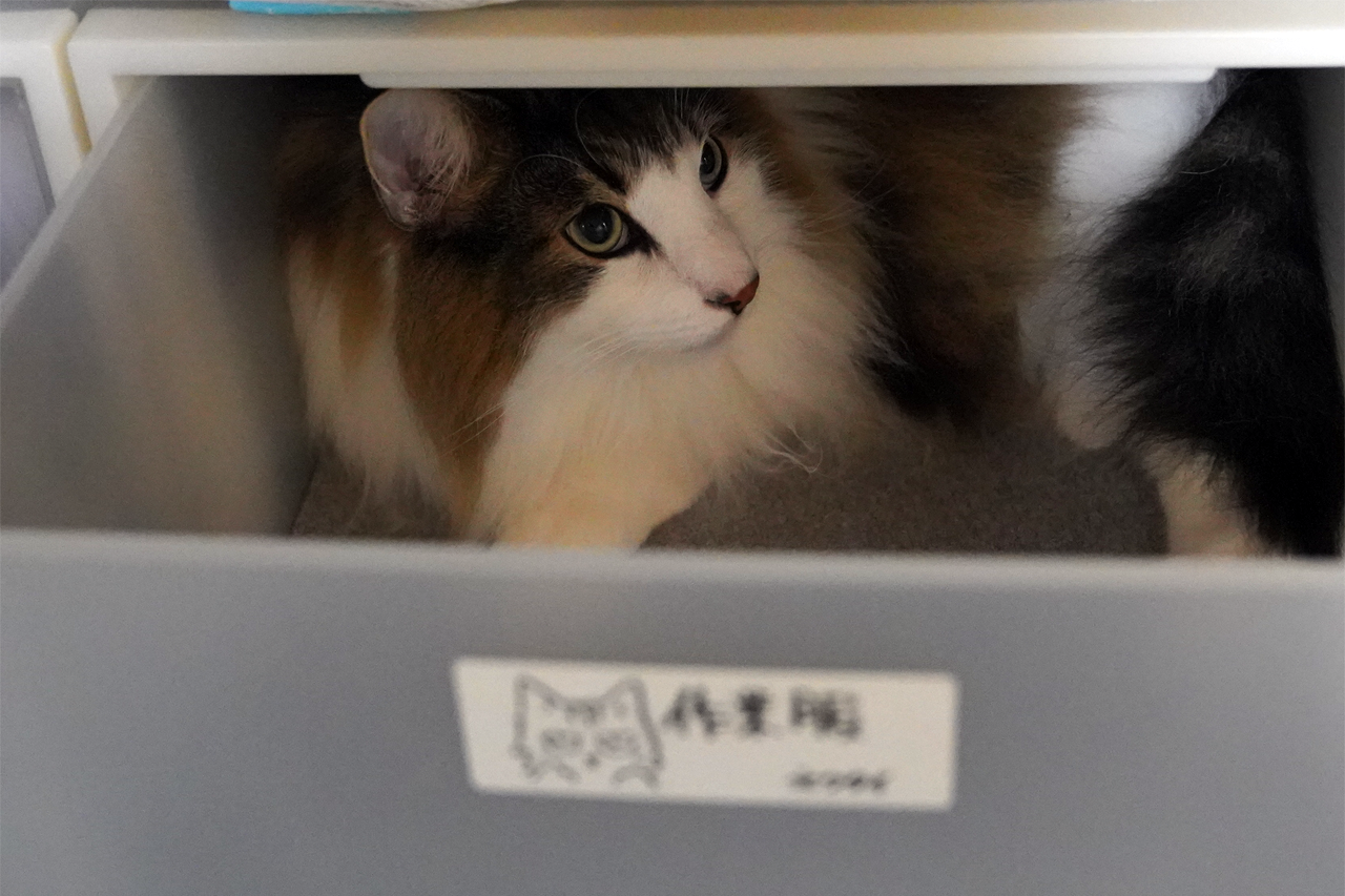 f:id:kazuhiro0214:20211203234557p:plain
