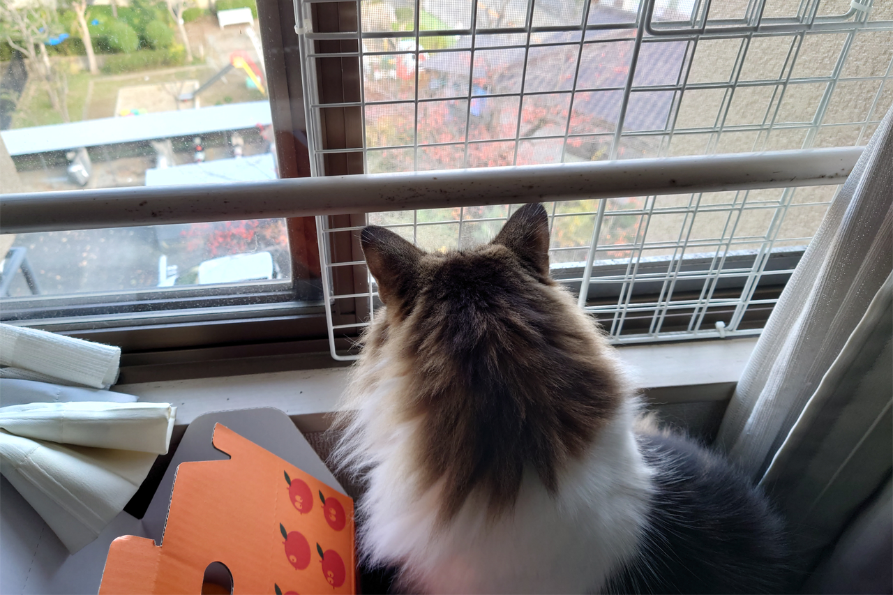 f:id:kazuhiro0214:20211225224130p:plain