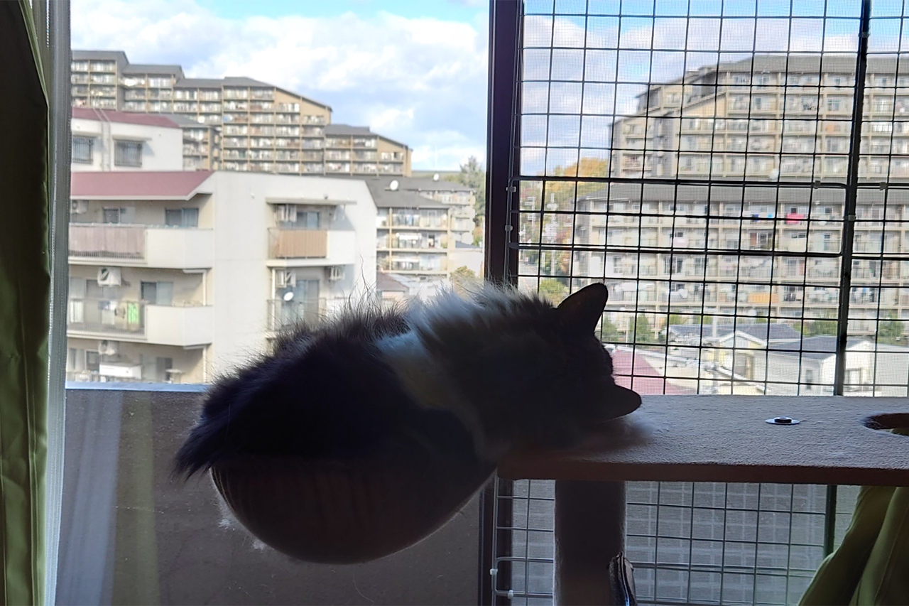 f:id:kazuhiro0214:20211225224206p:plain