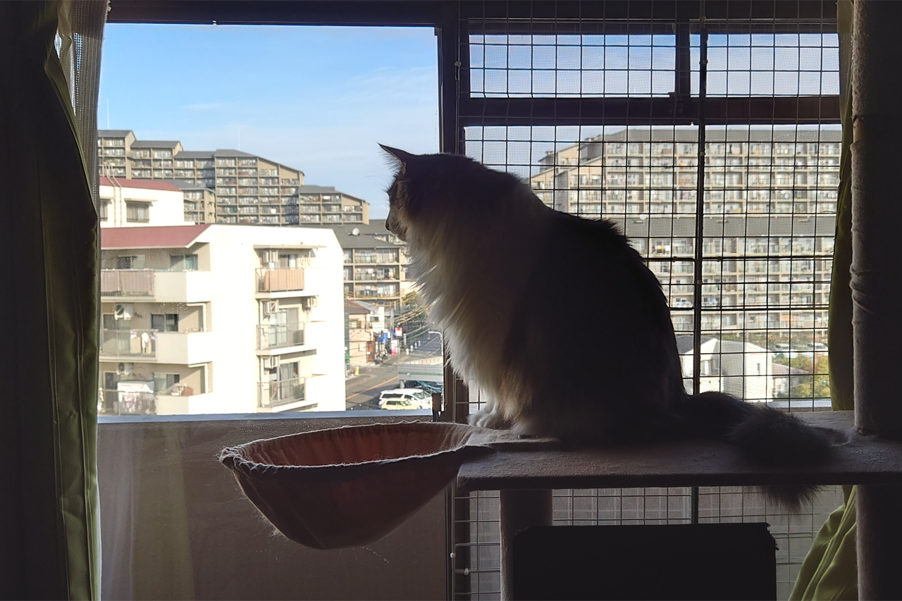 f:id:kazuhiro0214:20220102225515p:plain