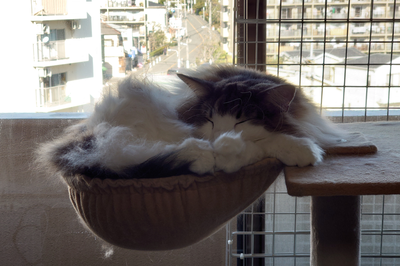 f:id:kazuhiro0214:20220102225606p:plain