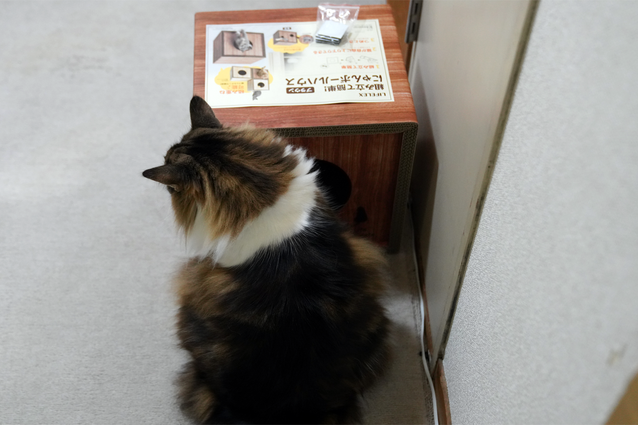 f:id:kazuhiro0214:20220110231921p:plain