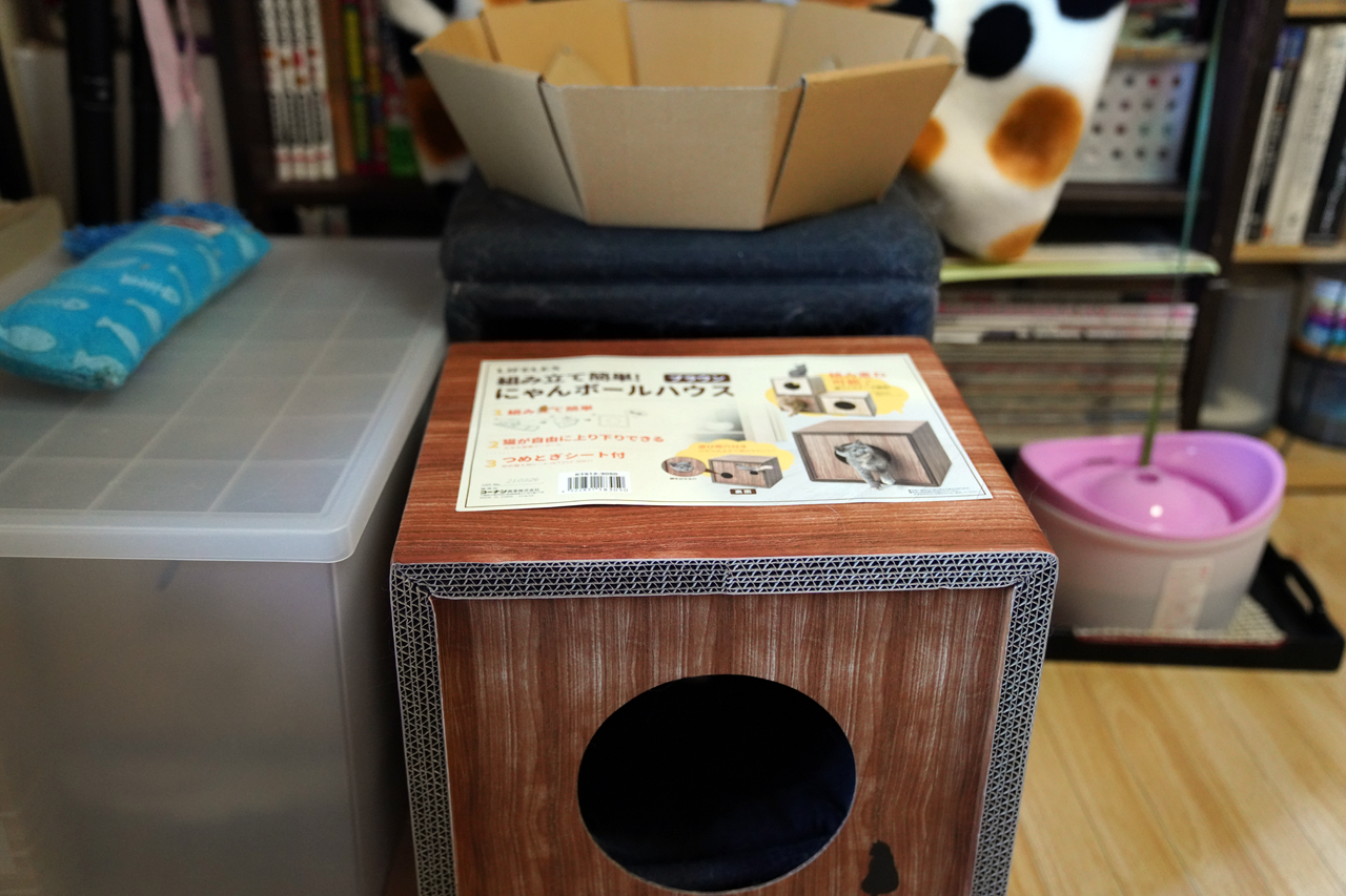 f:id:kazuhiro0214:20220110232010p:plain