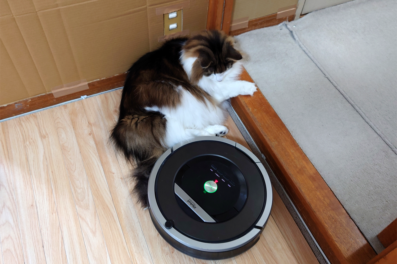 f:id:kazuhiro0214:20220127231918p:plain