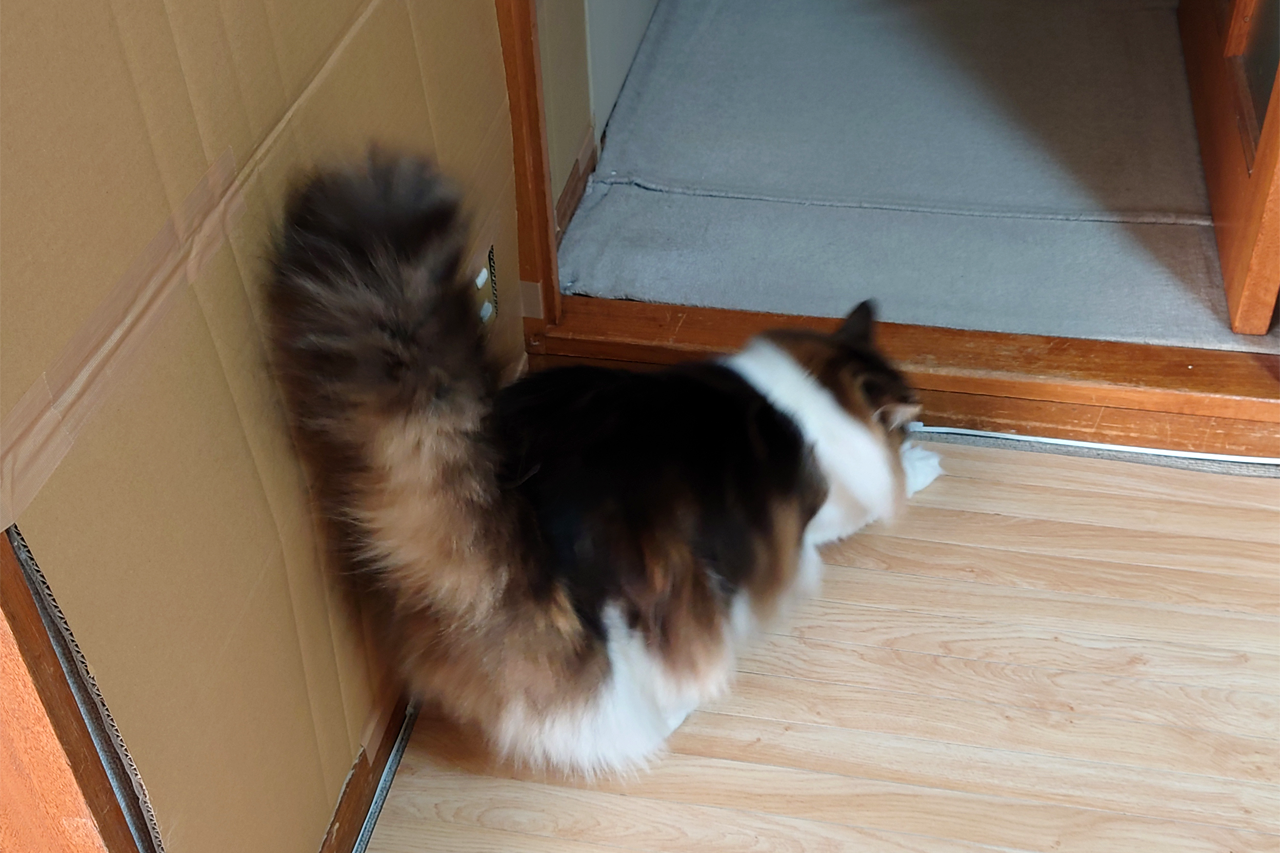 f:id:kazuhiro0214:20220127231959p:plain