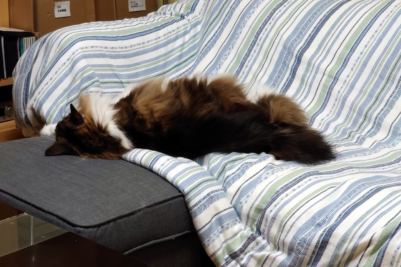 f:id:kazuhiro0214:20220127232159p:plain