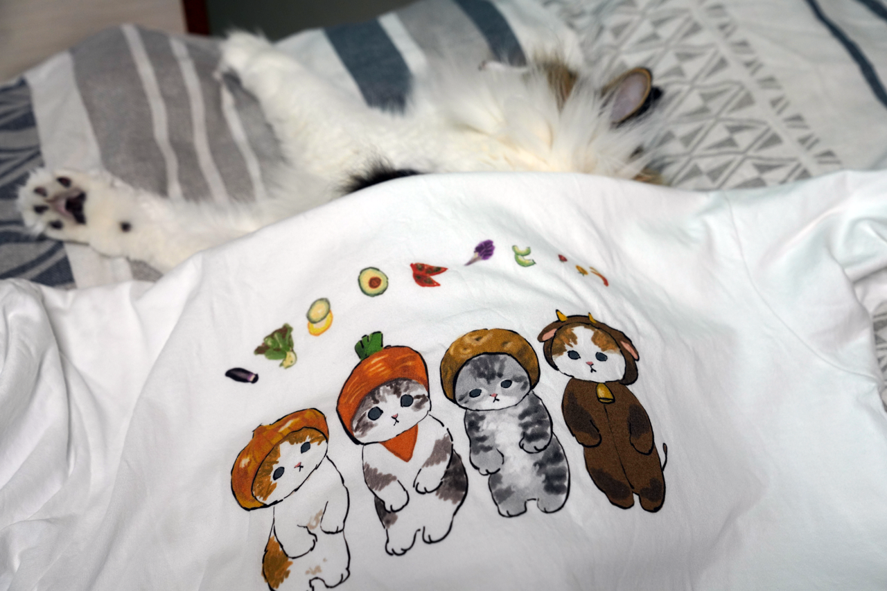 f:id:kazuhiro0214:20220127232430p:plain