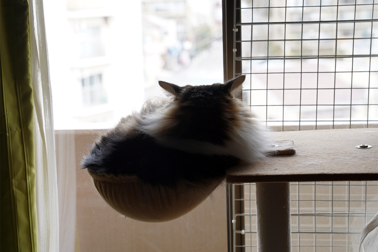 f:id:kazuhiro0214:20220208225815p:plain