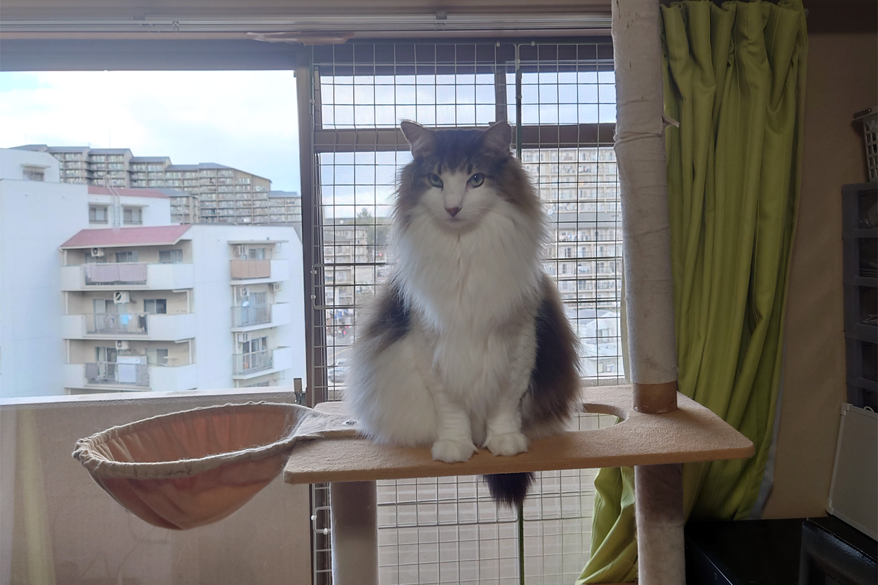 f:id:kazuhiro0214:20220208225839p:plain