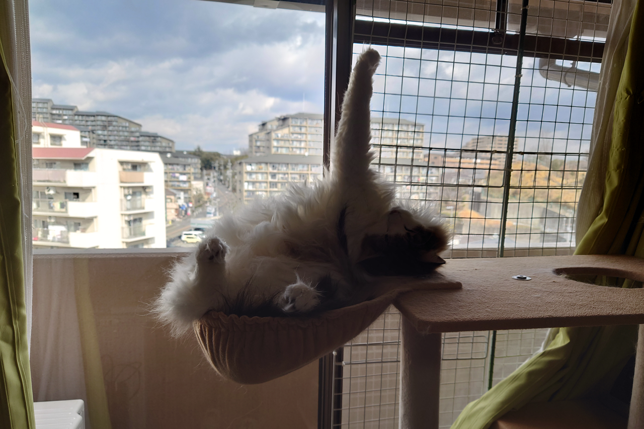 f:id:kazuhiro0214:20220208230135p:plain