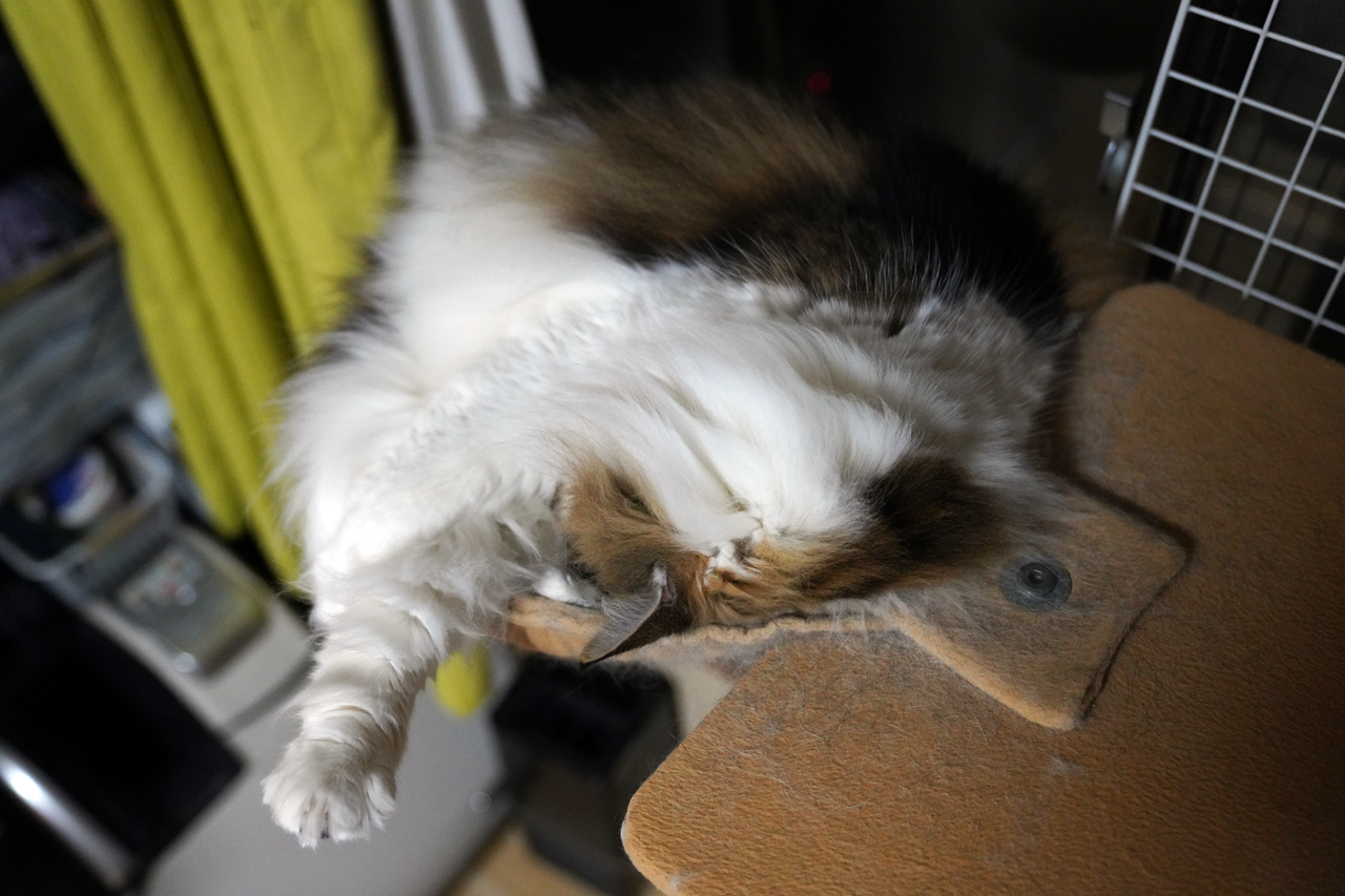 f:id:kazuhiro0214:20220208230219p:plain