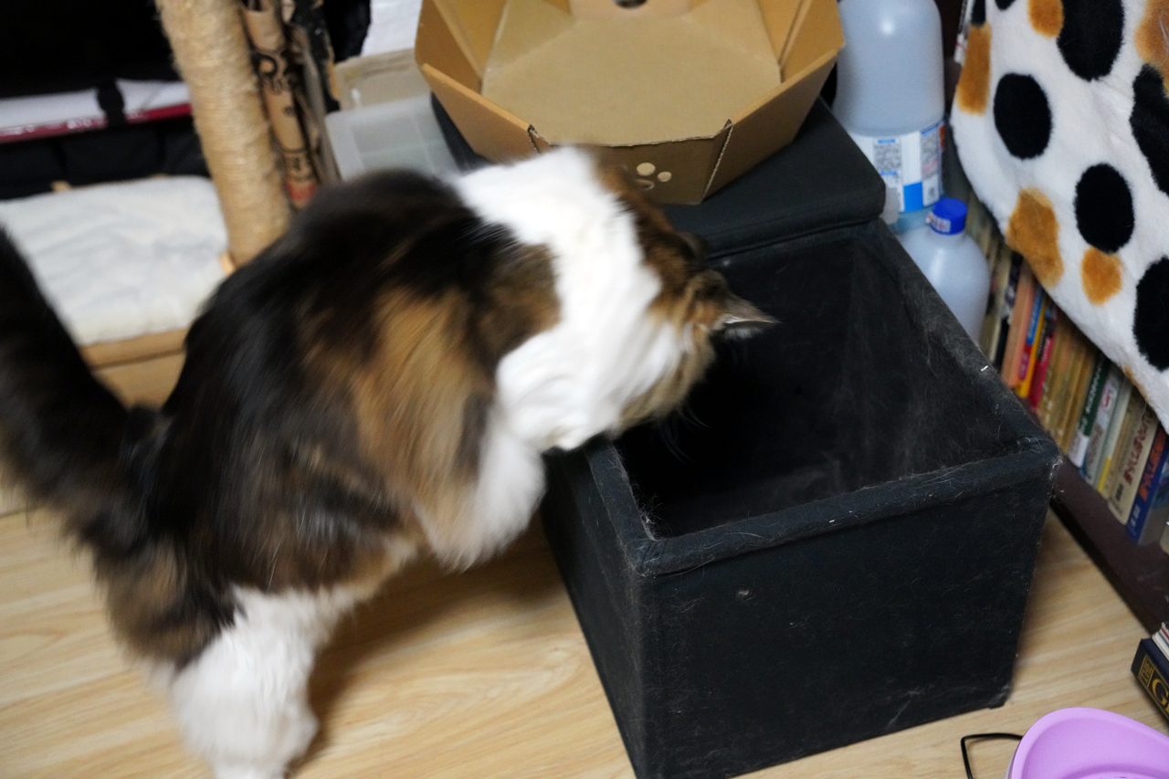 f:id:kazuhiro0214:20220210225951p:plain