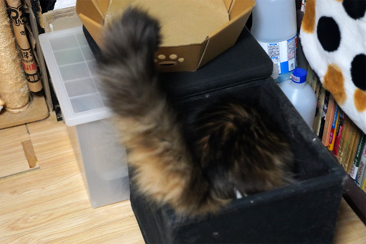 f:id:kazuhiro0214:20220210230016p:plain