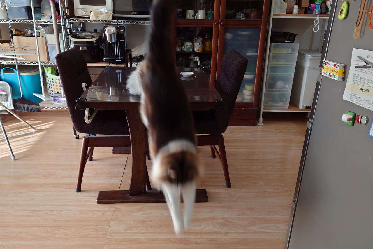 f:id:kazuhiro0214:20220215122832p:plain