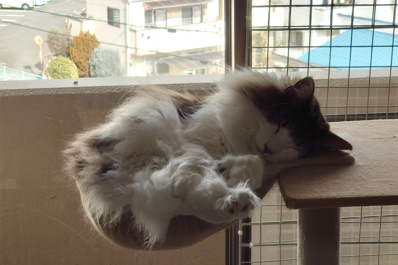 f:id:kazuhiro0214:20220228232009p:plain