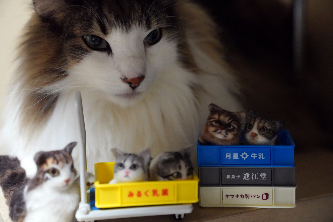 f:id:kazuhiro0214:20220228232110p:plain