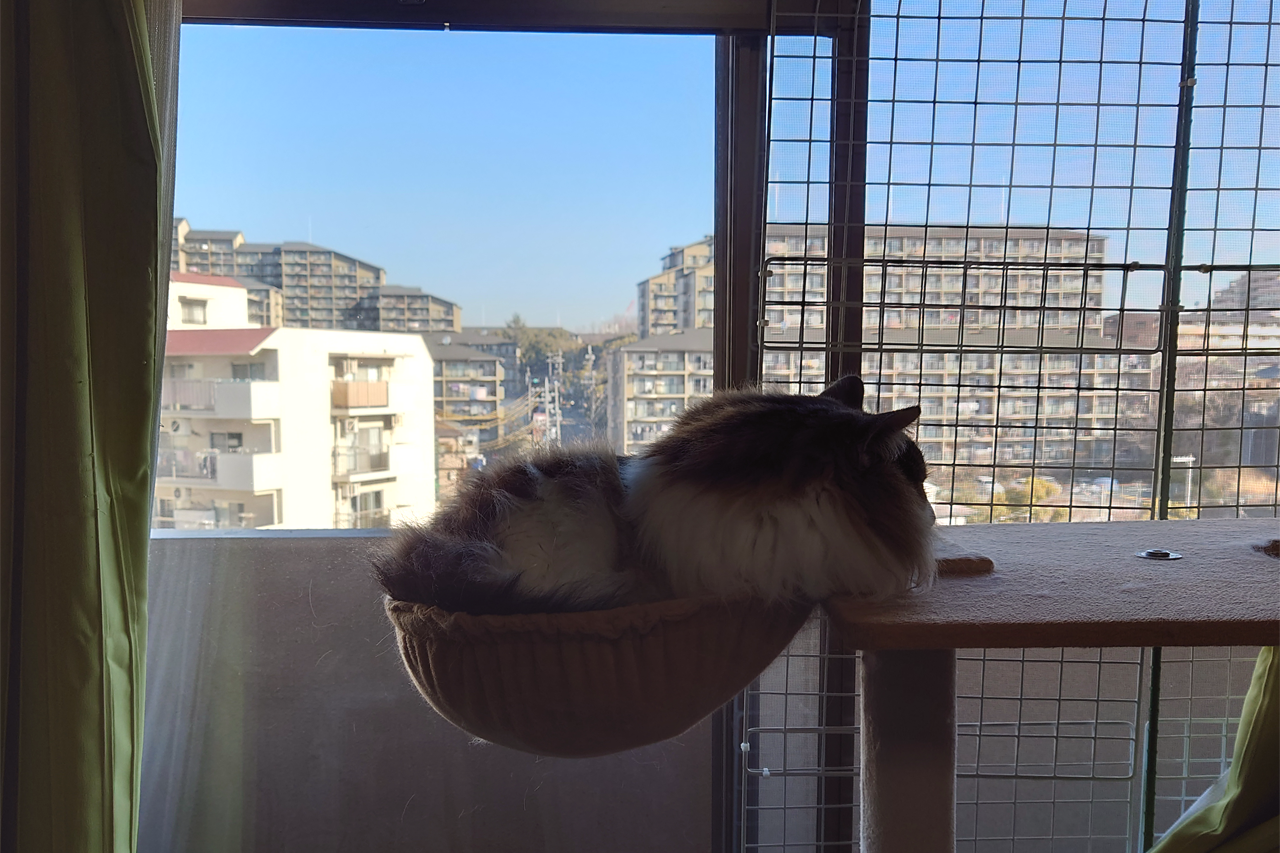 f:id:kazuhiro0214:20220302232311p:plain