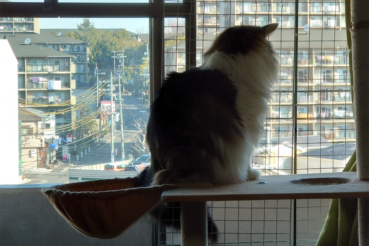 f:id:kazuhiro0214:20220302232414p:plain