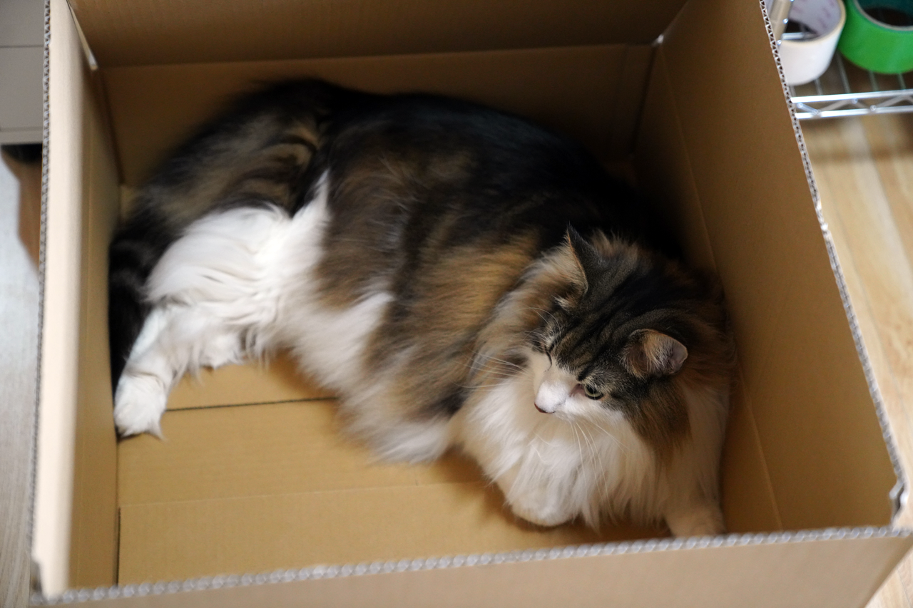 f:id:kazuhiro0214:20220314221545p:plain