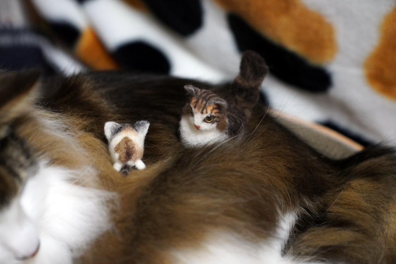 f:id:kazuhiro0214:20220314221724p:plain