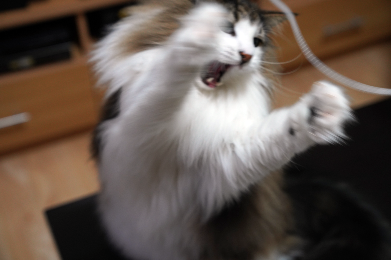 f:id:kazuhiro0214:20220405230322p:plain