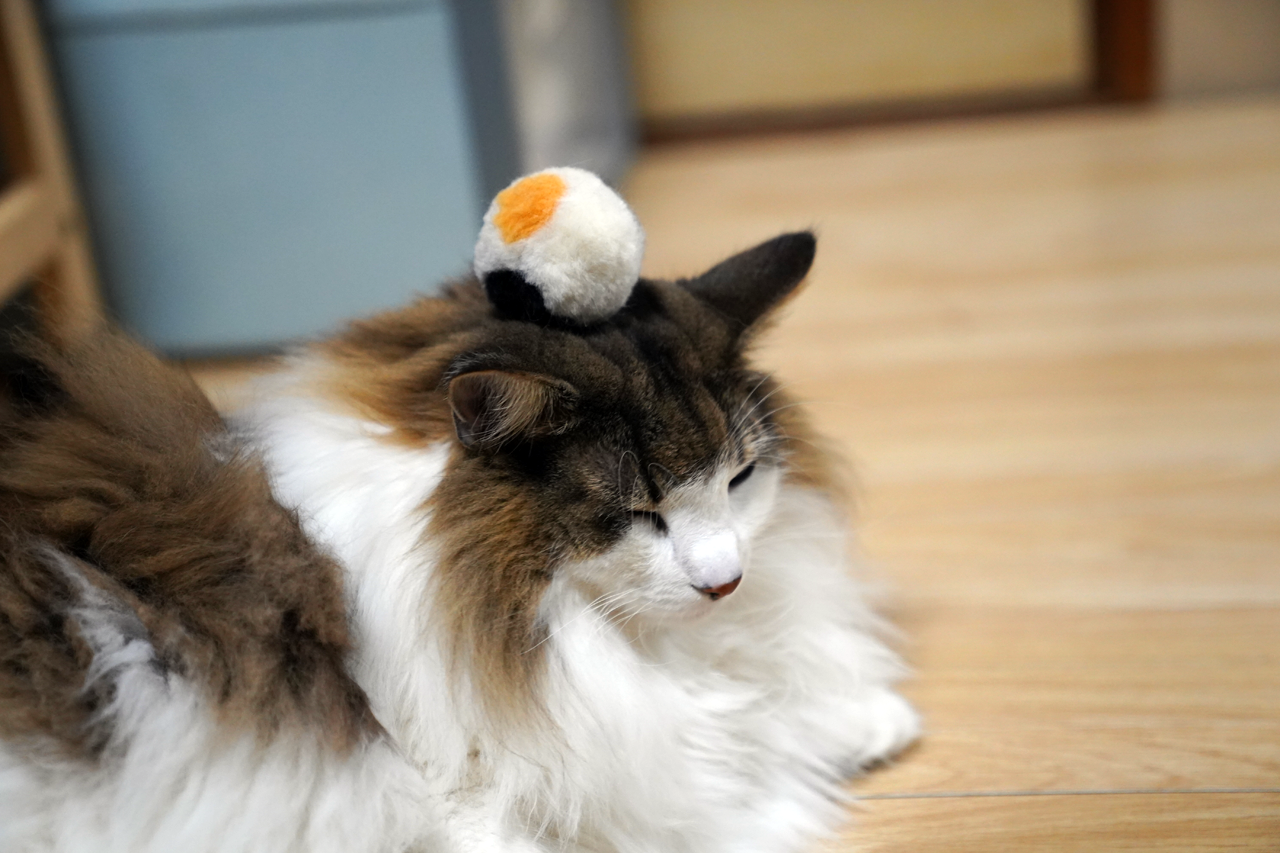 Amazon.co.jp: 【三毛猫と毛糸玉】子猫と毛糸玉 : おもちゃ