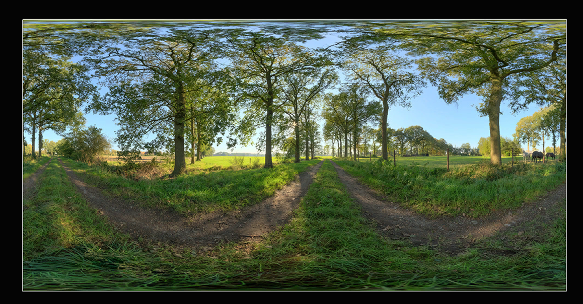 f:id:kazuhironagai77:20211122000752p:plain