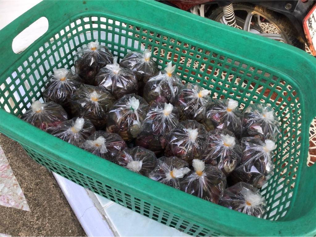 f:id:kazujeed9999:20190414210525j:plain f:id:kazujeed9999:20190414210525j:plain