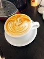 20190304225927