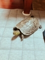 20190309230441