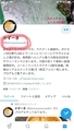 20190318194547