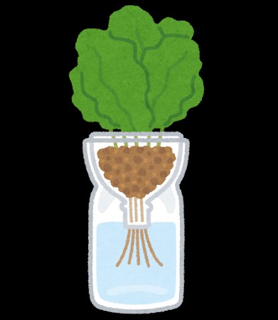 パッシブ水耕栽培