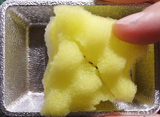 f:id:kazuki-iwata44:20220417192539j:image