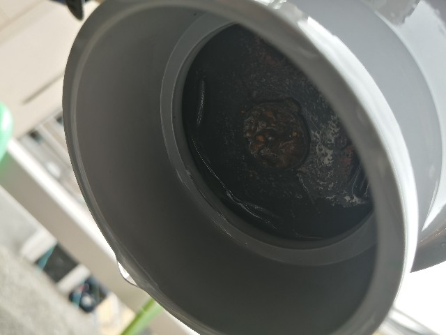 f:id:kazuki-iwata44:20220417192725j:image