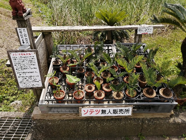 f:id:kazuki-iwata44:20220503123524j:image f:id:kazuki-iwata44:20220503123524j:image