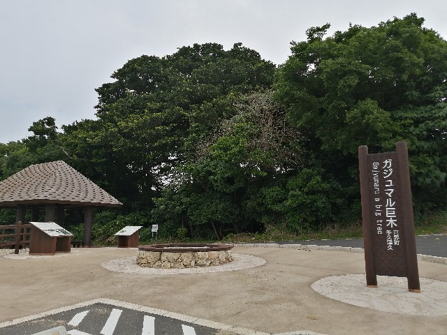 f:id:kazuki-iwata44:20220504152637j:image f:id:kazuki-iwata44:20220504152637j:image