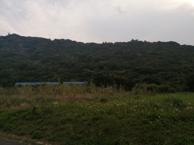 f:id:kazuki-iwata44:20220504154412j:image f:id:kazuki-iwata44:20220504154412j:image