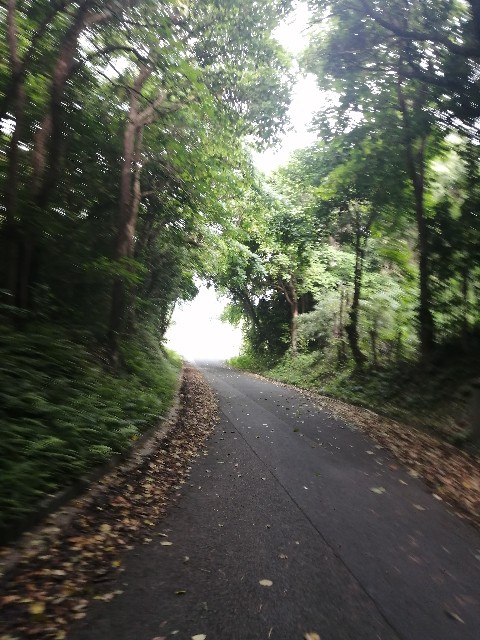 f:id:kazuki-iwata44:20220504154856j:image f:id:kazuki-iwata44:20220504154856j:image