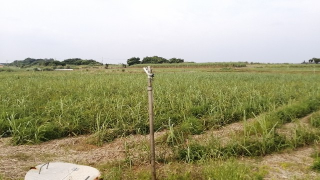 f:id:kazuki-iwata44:20220504155031j:image f:id:kazuki-iwata44:20220504155031j:image