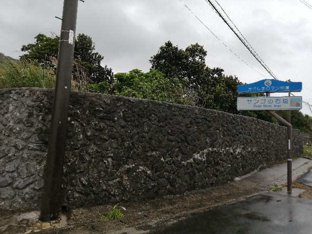 f:id:kazuki-iwata44:20220505113301j:image f:id:kazuki-iwata44:20220505113301j:image