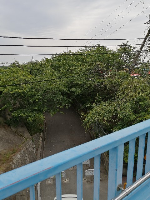 f:id:kazuki-iwata44:20220515124010j:image