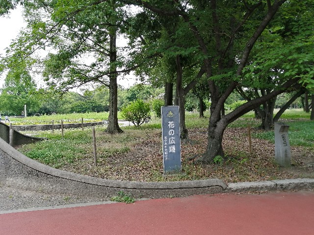 f:id:kazuki-iwata44:20220611212050j:image