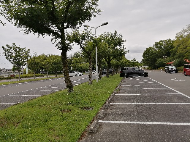 大泉緑地駐車場