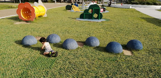大枝公園 大枝公園