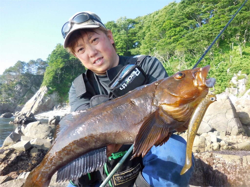 f:id:kazuki0430:20170703173015j:image f:id:kazuki0430:20170703173015j:image