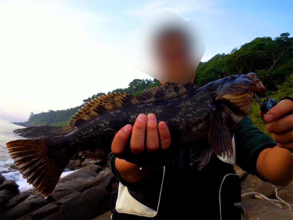 f:id:kazuki0430:20170704150805j:image f:id:kazuki0430:20170704150805j:image
