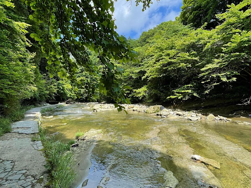 f:id:kazuki1026:20221107101753p:image f:id:kazuki1026:20221107101753p:image
