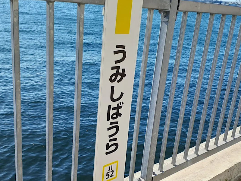 f:id:kazuki1026:20230103065055p:image f:id:kazuki1026:20230103065055p:image