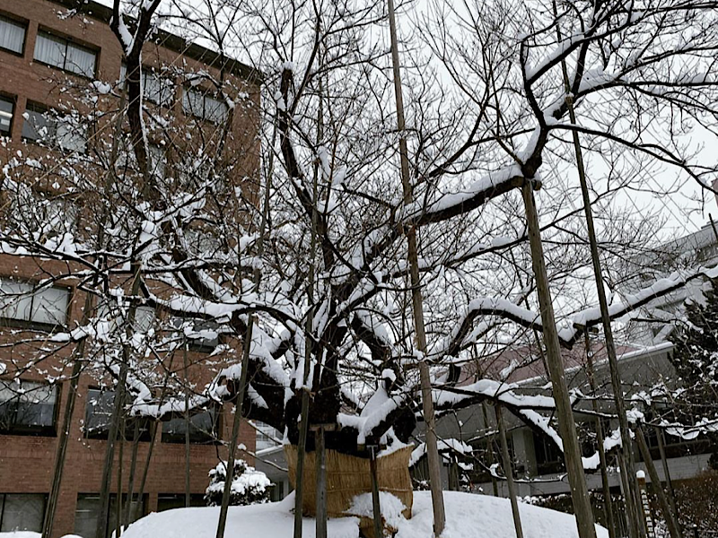 f:id:kazuki1026:20230226091027p:image f:id:kazuki1026:20230226091027p:image