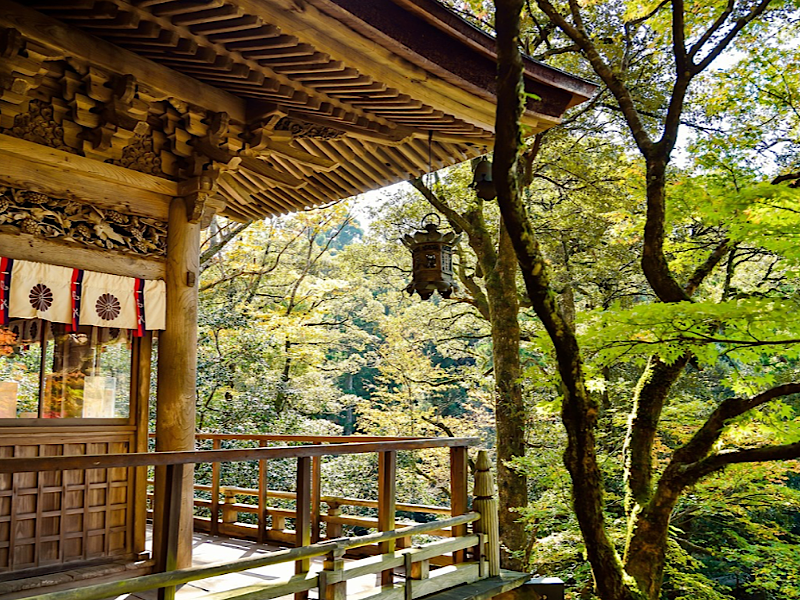 f:id:kazuki1026:20231201070456p:image f:id:kazuki1026:20231201070456p:image